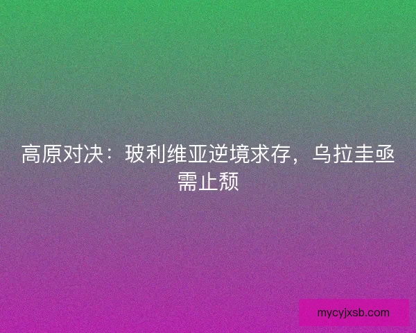 高原对决：玻利维亚逆境求存，乌拉圭亟需止颓